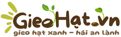 Gieo hạt xanh, Hái an lành